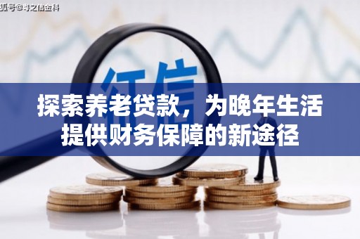 海兴探索养老贷款，为晚年生活提供财务保障的新途径