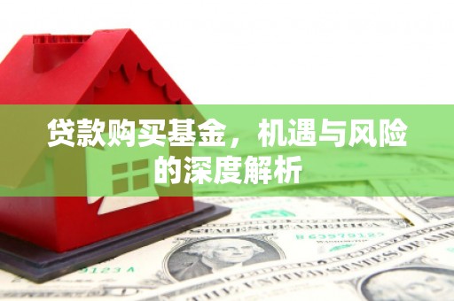 海兴贷款购买基金，机遇与风险的深度解析
