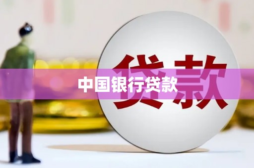 海兴中国银行贷款