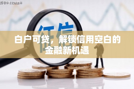 海兴白户可贷，解锁信用空白的金融新机遇