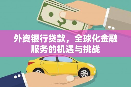 海兴外资银行贷款，全球化金融服务的机遇与挑战