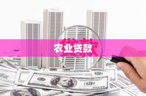 海兴农业贷款