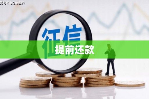 海兴提前还款