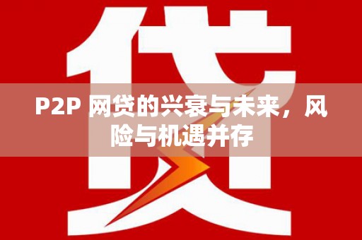 海兴P2P 网贷的兴衰与未来，风险与机遇并存