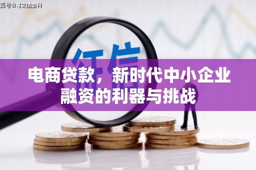 海兴电商贷款，新时代中小企业融资的利器与挑战