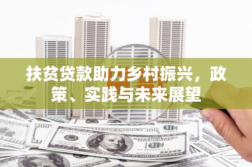 海兴扶贫贷款助力乡村振兴，政策、实践与未来展望