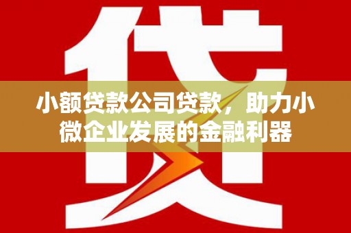 海兴小额贷款公司贷款，助力小微企业发展的金融利器