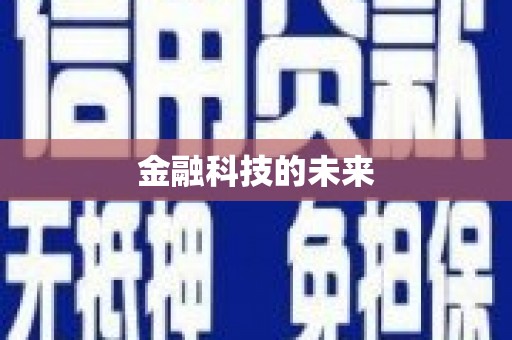 海兴金融科技的未来