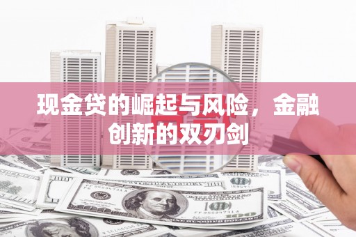 海兴现金贷的崛起与风险，金融创新的双刃剑