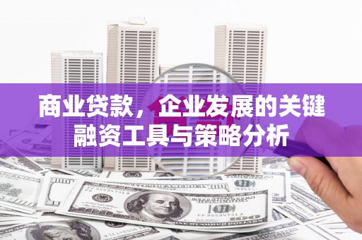 海兴商业贷款，企业发展的关键融资工具与策略分析