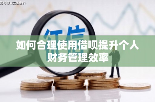 海兴如何合理使用借呗提升个人财务管理效率