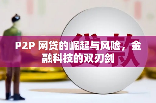 海兴P2P 网贷的崛起与风险，金融科技的双刃剑