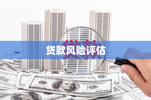 海兴贷款风险评估