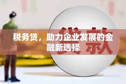 海兴税务贷，助力企业发展的金融新选择