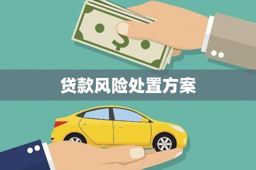 海兴贷款风险处置方案