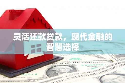 海兴灵活还款贷款，现代金融的智慧选择