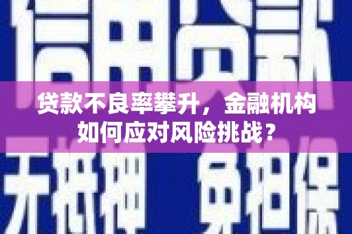 海兴贷款不良率攀升，金融机构如何应对风险挑战？