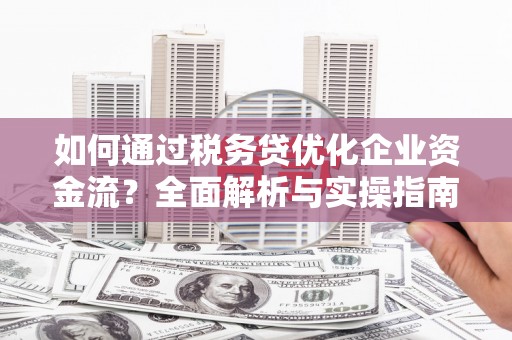 海兴如何通过税务贷优化企业资金流？全面解析与实操指南