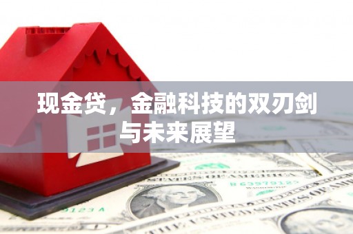 海兴现金贷，金融科技的双刃剑与未来展望
