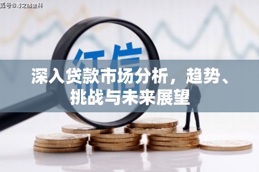 海兴深入贷款市场分析，趋势、挑战与未来展望