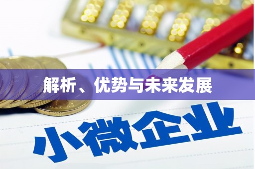 海兴解析、优势与未来发展