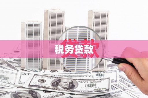 海兴税务贷款