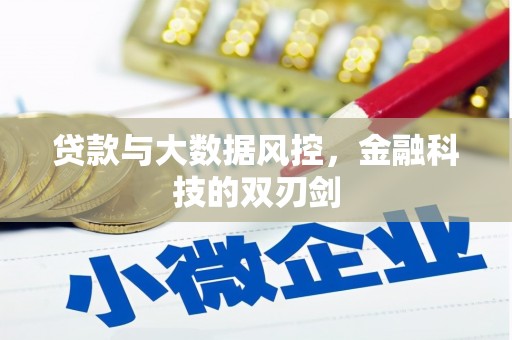 海兴贷款与大数据风控，金融科技的双刃剑