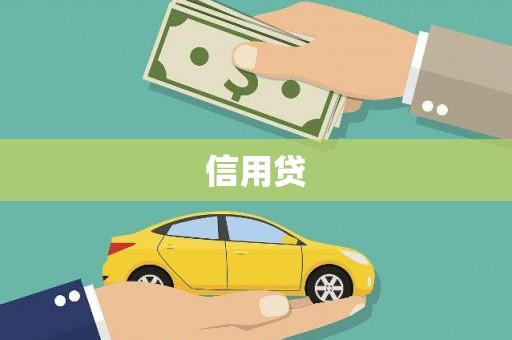 海兴信用贷