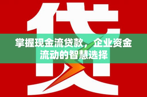 海兴掌握现金流贷款，企业资金流动的智慧选择