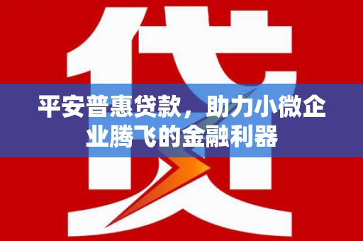海兴平安普惠贷款，助力小微企业腾飞的金融利器