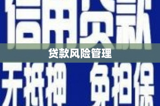海兴贷款风险管理