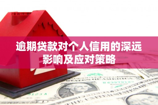 海兴逾期贷款对个人信用的深远影响及应对策略