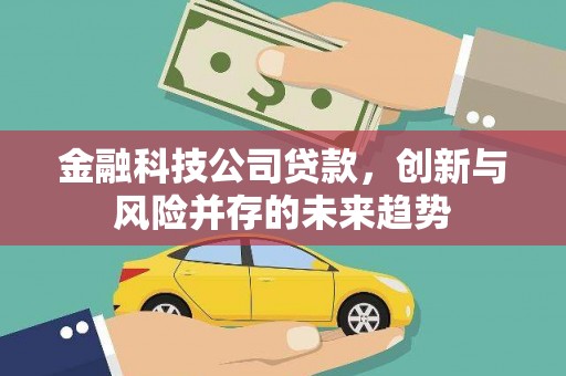 海兴金融科技公司贷款，创新与风险并存的未来趋势