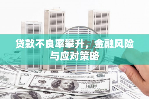 海兴贷款不良率攀升，金融风险与应对策略