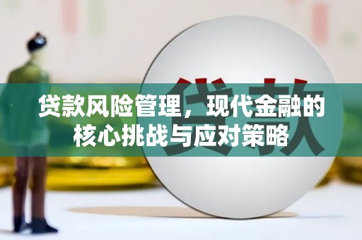 海兴贷款风险管理，现代金融的核心挑战与应对策略