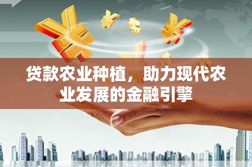 海兴贷款农业种植，助力现代农业发展的金融引擎