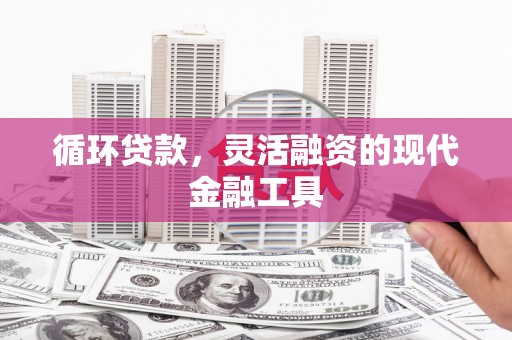 海兴循环贷款，灵活融资的现代金融工具