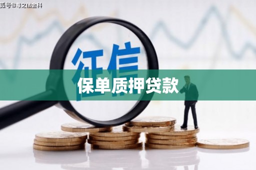 海兴保单质押贷款