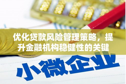 海兴优化贷款风险管理策略，提升金融机构稳健性的关键