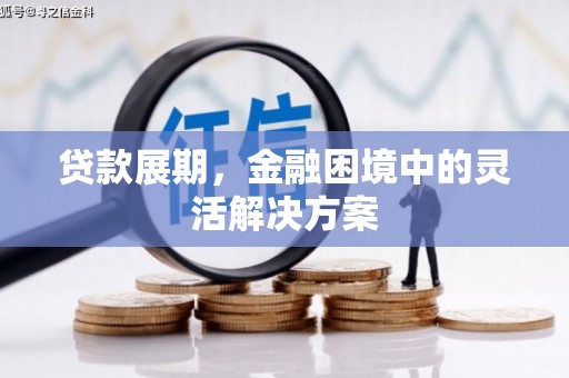海兴贷款展期，金融困境中的灵活解决方案
