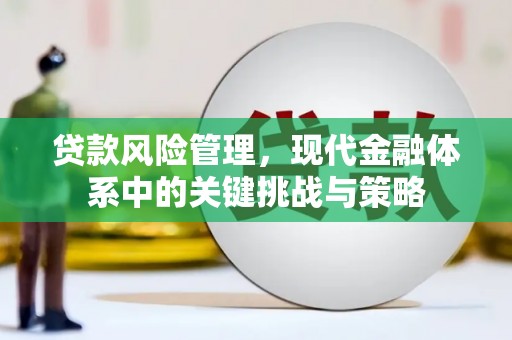 海兴贷款风险管理，现代金融体系中的关键挑战与策略
