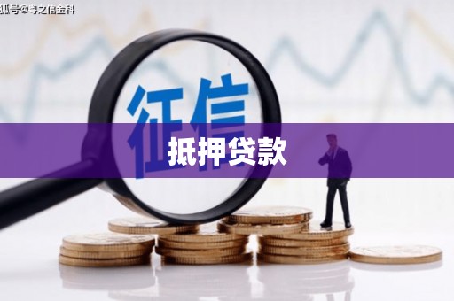 海兴抵押贷款