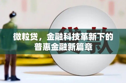 海兴微粒贷，金融科技革新下的普惠金融新篇章
