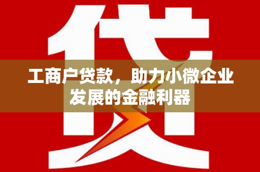 海兴工商户贷款，助力小微企业发展的金融利器