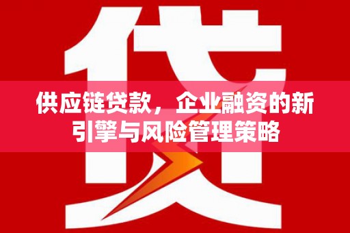 海兴供应链贷款，企业融资的新引擎与风险管理策略