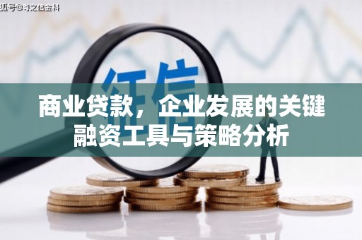 海兴商业贷款，企业发展的关键融资工具与策略分析