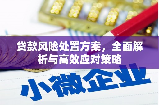 海兴贷款风险处置方案，全面解析与高效应对策略