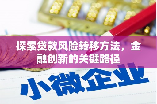 海兴探索贷款风险转移方法，金融创新的关键路径