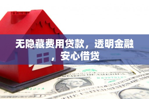 海兴无隐藏费用贷款，透明金融，安心借贷