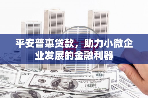 海兴平安普惠贷款，助力小微企业发展的金融利器